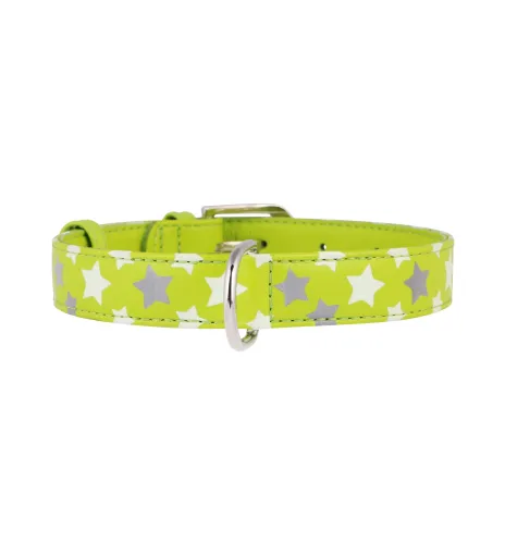 COLLAR Obojok kožený s hviezdami Glamour, 38-49cm/25mm, zelená